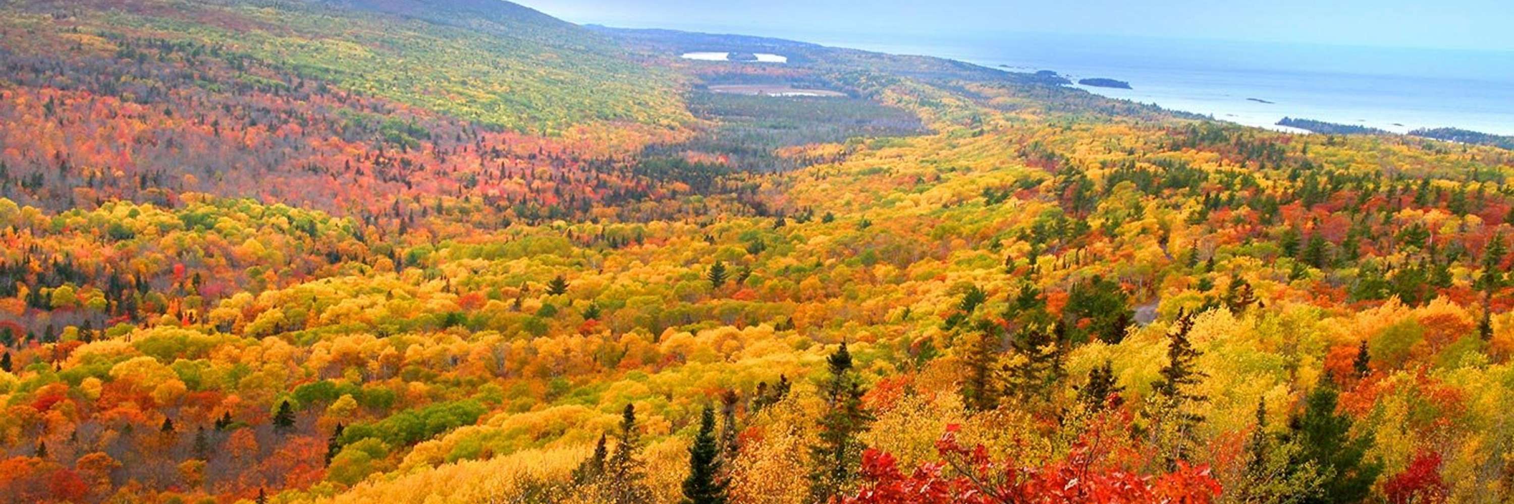 Copper Harbor Michigan harbor and fall colors aerial view featured in a Creative City Developments case study