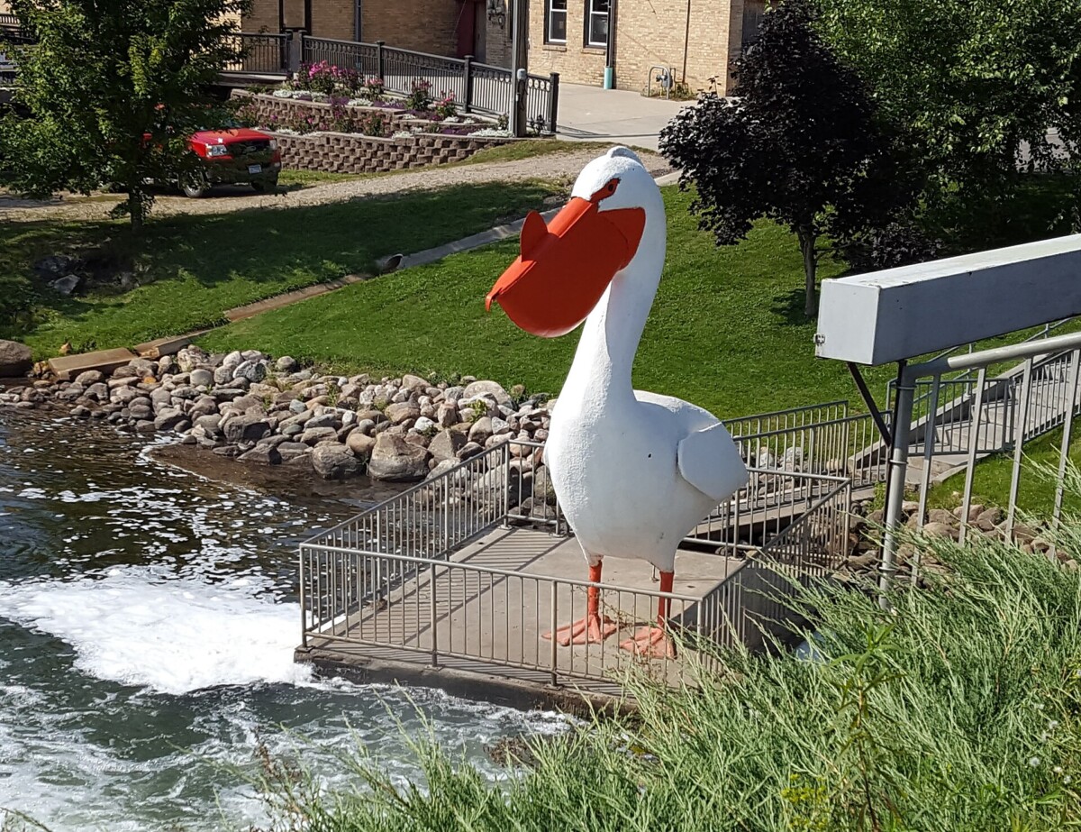Pelican Pete, the giant pelican statue in Pelican Rapids, Minnesota