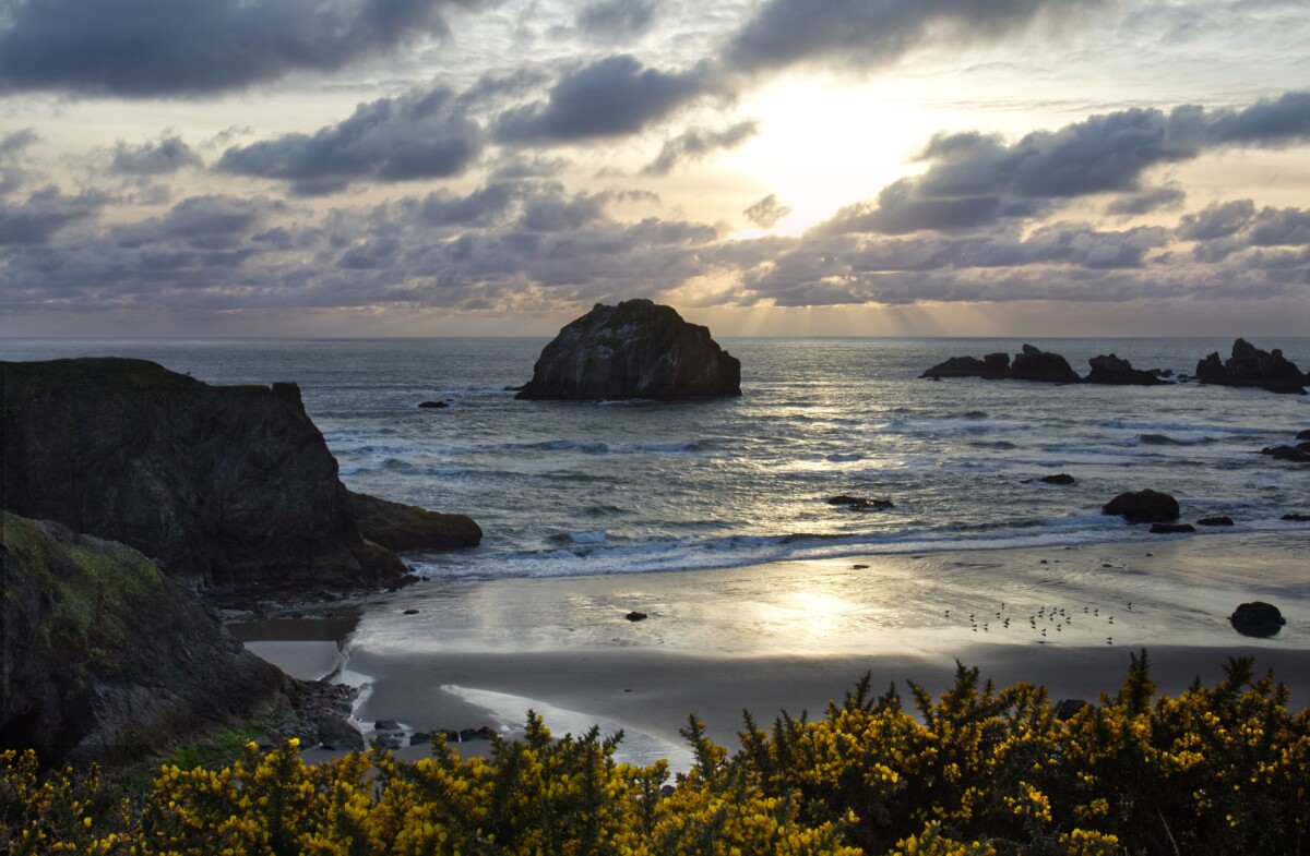 The last in my series of images from our trip down to Bandon, Oregon. This is Face Rock, it is about 30 minutes before sunset. Face Rock has a lot of origin sto