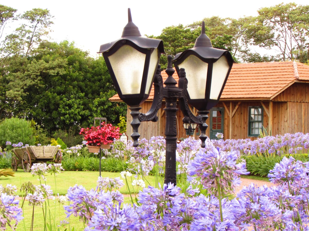 A double lamppost among purple agapanthus flowers in front of a wooden colonial-style building in the Parque Histórico de Carambeí, with an old wooden cart at left.