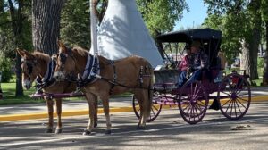 An entry in the 2024 Bucking Horse Sale parade in Miles City, Montana.