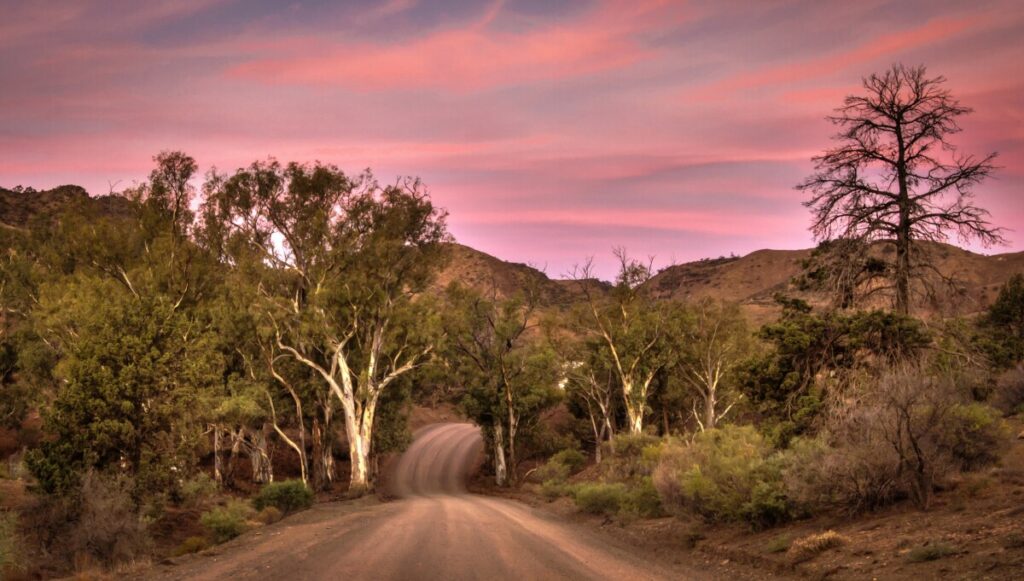 Back light from a Flinders sunset