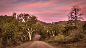 Back light from a Flinders sunset