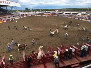 The rodeo arena at the Ponoka Stampede in Ponoka, Alberta.