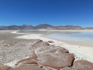 Salar de Aguas Calientes Sur III. Altiplano de Antofagasta. Comuna de San Pedro de Atacama. Comunidad atacameña de Socaire.