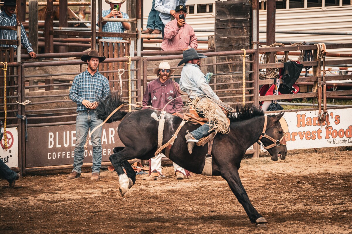 Saddle bronc rider at the Methow Valley Rodeo in Winthrop, Washington.